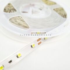 Tek Çipli İç Mekan Günışığı Şerit Led 5MT 12V (1001)